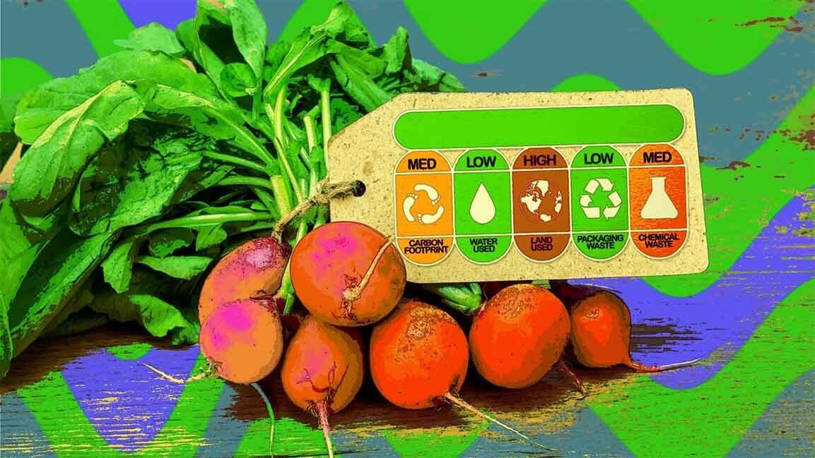 GCC countries have the potential to lead an agricultural revolution