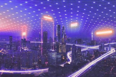How Digital Nations are Engineered, and What They Can Learn From One Another